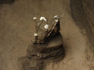 Fóssil de planta encontrado em Joya de Cerén (Foto: José Cabezas/AFP)