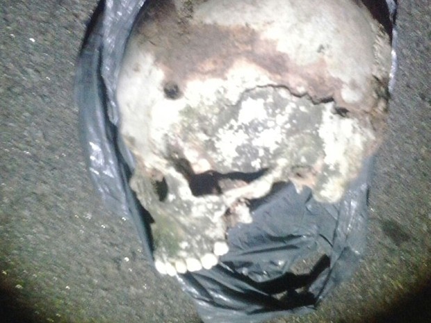 Crânio foi encontrado com uma perfuração (Foto: Divulgação/PM)