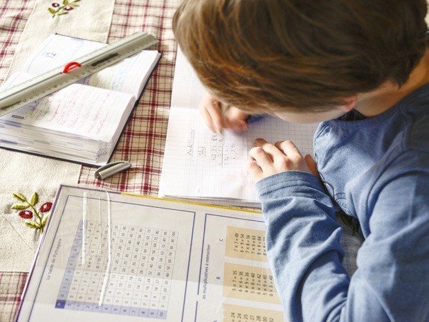 Mesmo grupo de genes que favorecem habilidades em matemática também contribuem com leitura (Foto: AJ Photo/BSIP)