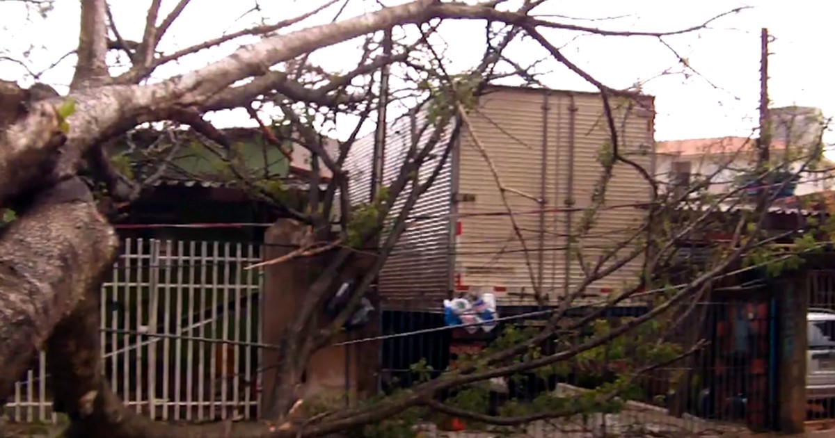 G Temporal Derruba Rvores E Destelha Casa Na Regi O De Campinas