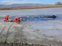 Vacas ficam presas em lago congelado e são resgatadas nos EUA Vacas ficam presas em lago congelado e são resgatadas nos EUA