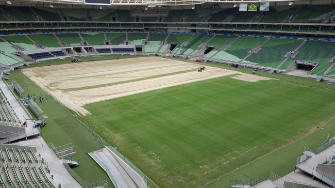 Arena do Palmeiras continua trabalho de troca do gramado; veja foto atual