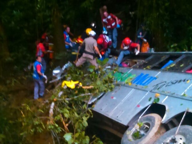 acidente de ônibus em campo alegre, serra dona francisca, mortos (Foto: Jean Mazzonetto/RBS TV)