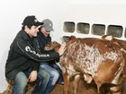Murilo Benício vai a leilão de gado em Paraíba do Sul