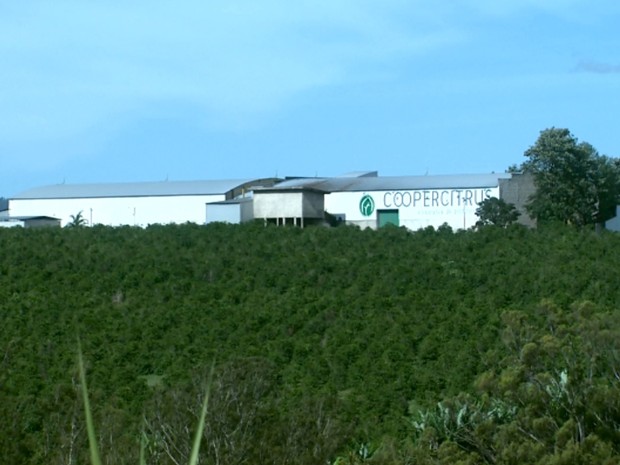Trio tentou assaltar uma cooperativa de café às margens da MG-455. (Foto: Reprodução EPTV) Trio tentou assaltar uma cooperativa de café às margens da MG-455. (Foto: Reprodução EPTV)