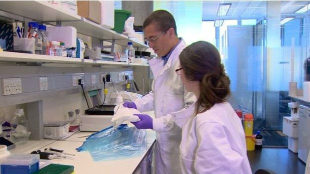 Os pesquisadores pediram que pessoas com e sem Parkinson usassem roupas brancas e, depois, testaram se Joy conseguia identificar quem tinha a doença (Foto: BBC) Os pesquisadores pediram que pessoas com e sem Parkinson usassem roupas brancas e, depois, testaram se Joy conseguia identificar quem tinha a doença (Foto: BBC)