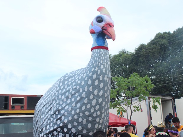 Capote, ave típica do Piauí, é o mascote do bloco (Foto: Wenner Tito/G1)