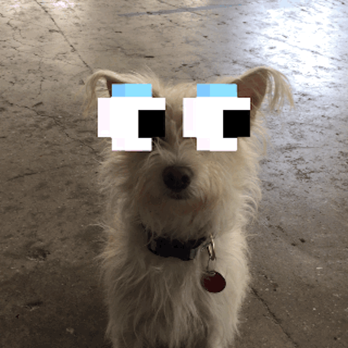 Aplicativo Giphy CAM permite que o usuário faça seus próprios Gifs (Foto: Divulgação) Aplicativo Giphy CAM permite que o usuário faça seus próprios Gifs (Foto: Divulgação)