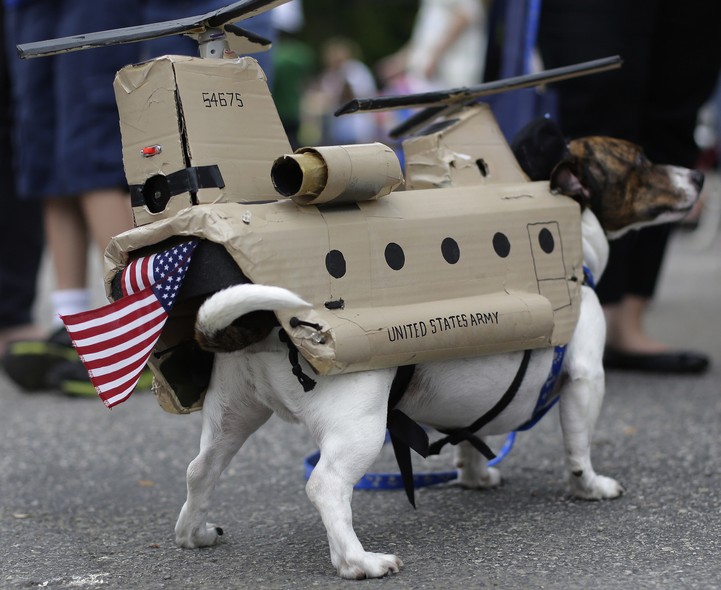 Wiston participa vestido de helicóptero militar do concurso de fantasias promovido por um abrigo de animais da cidade