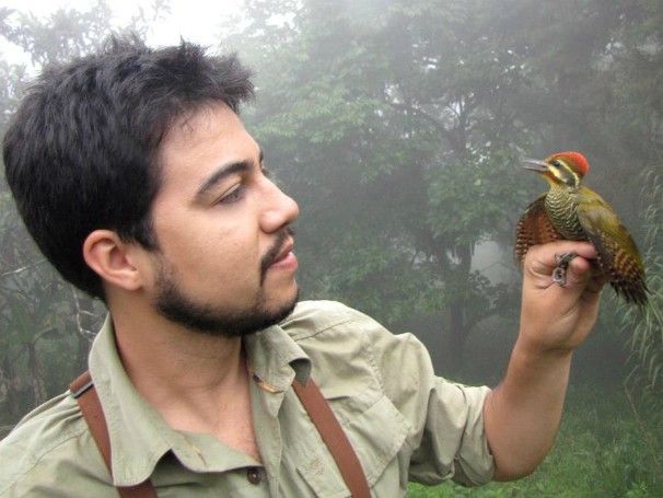 Globo Universidade - Aves - Mata Atlântica - Ornitólogo - Luciano Lima (Foto: Divulgação/Luciano Lima)