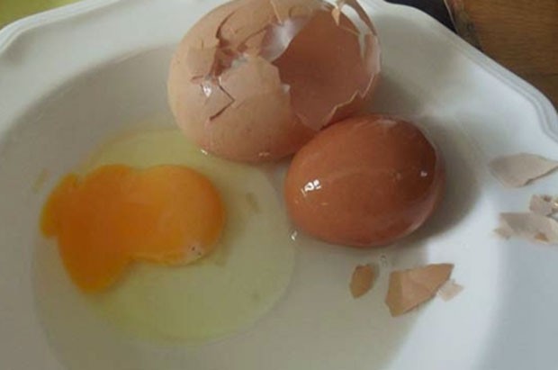 No ano passado, uma família de Evington, no Reino Unido, ficou surpresa depois que uma de suas galinhas colocou um ovo medindo 11,1 centímetros e pesando 157 gramas. A descoberta, porém, não ficou por aí. Ao quebrá-lo, Sheetal Mistry descobriu outro ovo perfeitamente formado dentro (Foto: Reprodução)