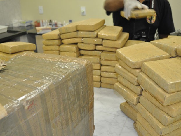 Droga era transportada em embalagens lacradas (Foto: Divulgação / PF)