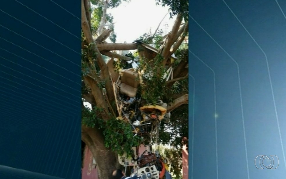 Avião caiu e ficou preso em árvore em Cassilândia (MS) (Foto: Reprodução/TV Anhanguera)