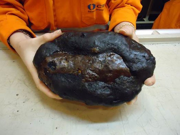 Pesquisador segura rocha de granito encontrada durante dragagem feita há dois anos, na região do Elevado Rio Grande, na costa brasileira (Foto: Divulgação/CPRM)