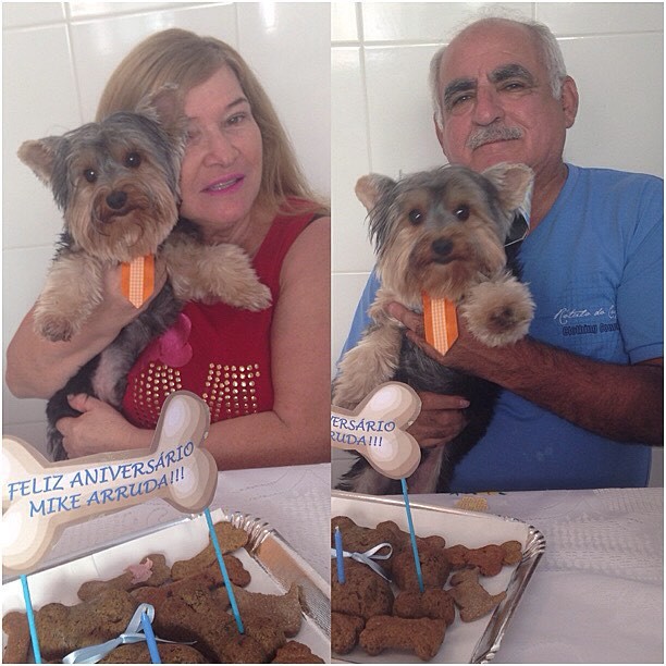 Geisy Arruda festeja aniversário do cachorro: 'Mamãe ama' 11257139_1657150937831128_1612196251_n
