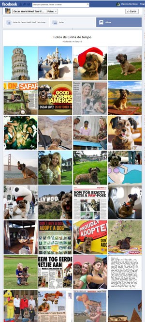 Página do Facebook feita pela dona de Oscar mostra o cão em suas viagens (Foto: Reprodução/Facebook)