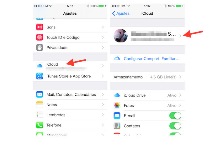 Acessando as configurações de uma conta do iCloud no iPhone (Foto: Reprodução/Marvin Costa)