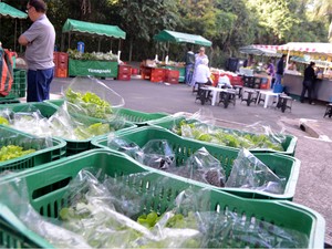 Venda de produtos orgânicos em Campinas (Foto: Mayara Yamaguti/ G1)