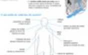 Bem Estar desta terça-feira (26) deu dicas do que fazer se o corpo coçar.
Dermatologistas alertam que coceira é um sintoma de diversos problemas.