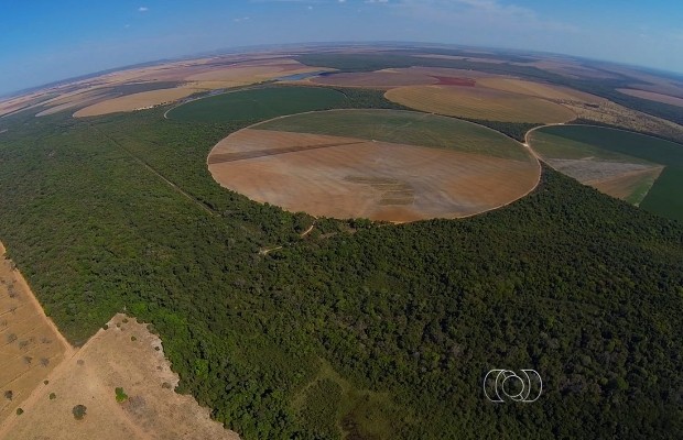 Área próxima ao rio foi desmatada para dar lugar a plantações, em Goiás (Foto: Reprodução/TV Anhanguera)