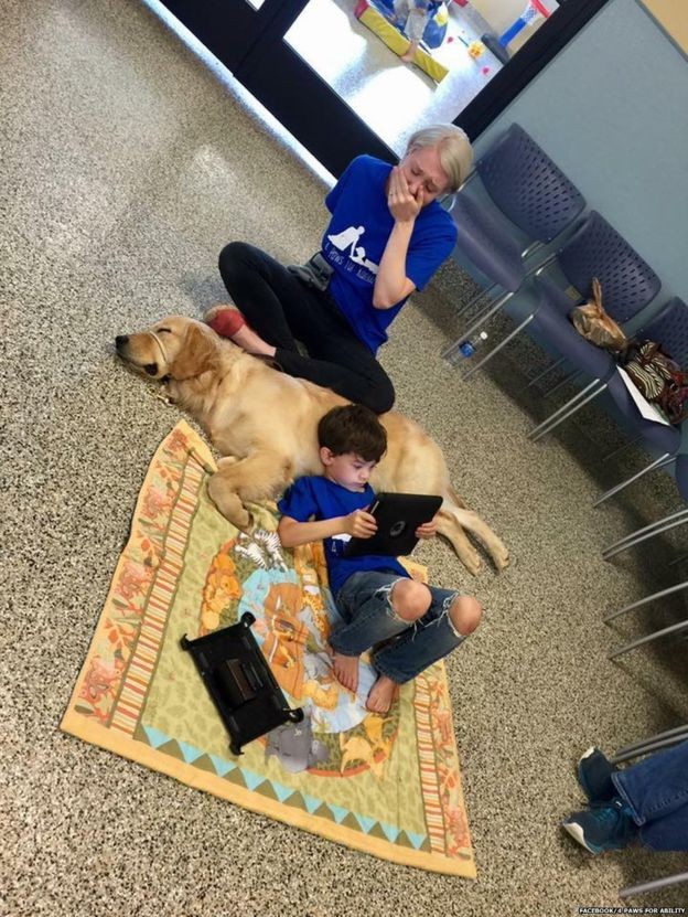 Post que mostra filho de Shanna Niehaus deitado sobre &#39;cão terapeuta&#39; teve mais de 200 mil compartilhamentos (Foto: Facebook/4 Paws for Ability)