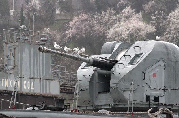 Gaivotas transformaram em poleiro um canho de um navio militar russo ancorado em uma base naval no porto ucraniano de Sevastopol, na regio de Crimea (Foto: Stringer/Reuters)