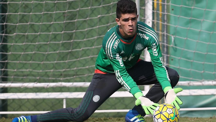 Vinicius Silvestre Palmeiras (Foto: Cesar Greco / Ag. Palmeiras / Divulgação) Vinicius Silvestre Palmeiras (Foto: Cesar Greco / Ag. Palmeiras / Divulgação)