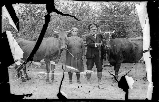 Fotografia de casal ao lado de seus animais (Foto: Costică Acsinte Archive)