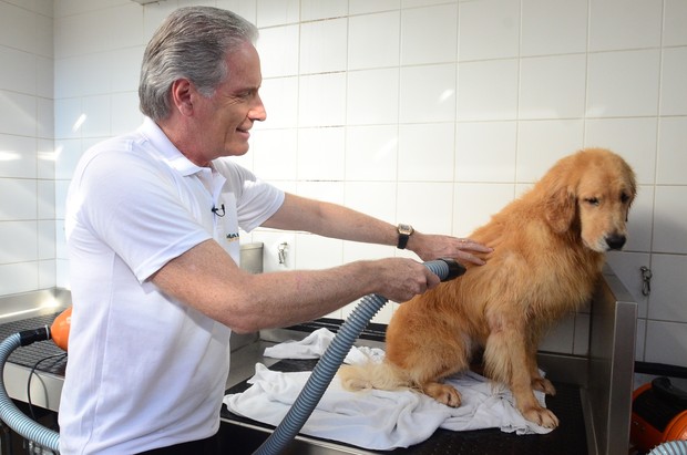 Roberto Justus dá banho em cachorro (Foto: Record / Divulgação)