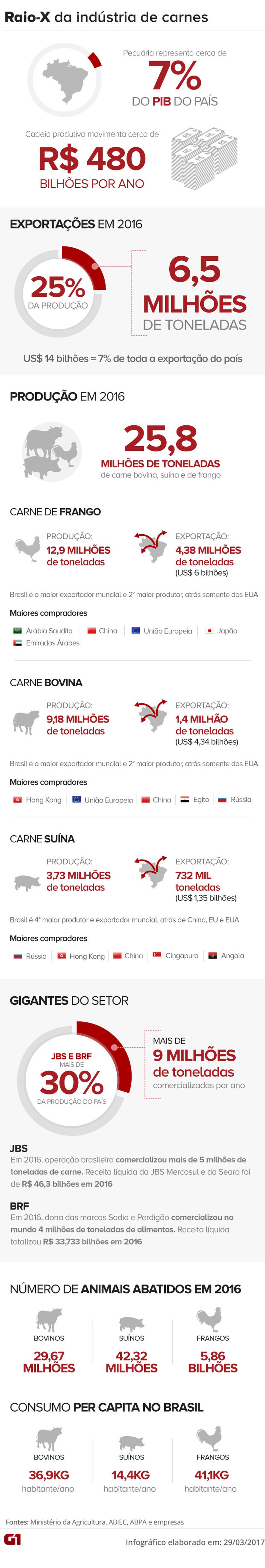 Veja números do setor de carnes e peso na economia (Foto: Arte G1)