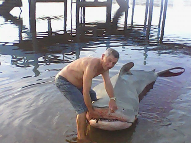 Cação foi pescado na Ilha do Mel, no litoral do Paraná (Foto: Marcello Gonzaga)