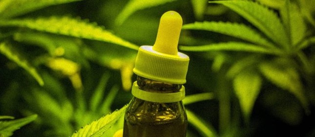 Rem&eacute;dios extra&iacute;dos da maconha j&aacute; podem ser usados em crian&ccedil;as epil&eacute;pticas  (Foto: O Globo)