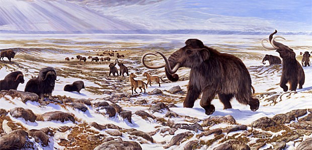 Ilustração mostra como seria ambiente na Era do Gelo com mamute, cavalo selvagem, bisão e boi almiscarado  (Foto:  George Teichmann)