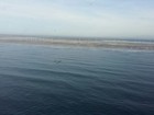Mancha no mar do litoral gaúcho dissipa após vazamento de óleo