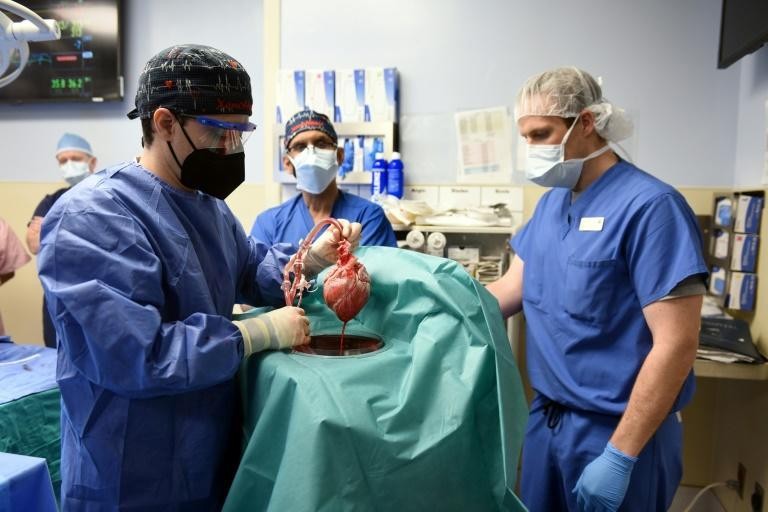 Cirurgiões durante a realização do transplante cardíaco inédito em Baltimore, nos Estados Unidos (Foto: UMSOM/Divulgação via Reuters)