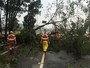 SIGA: árvores caem na Marginal Pinheiros e Av. Bandeirantes