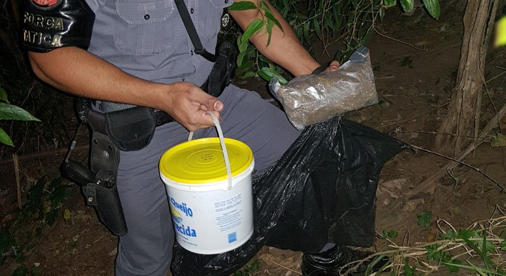 Drogas foram localizadas pela Polícia Militar (Foto: Polícia Militar/Cedida)