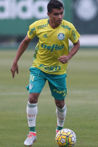 Erik Treino Palmeiras (Foto: Cesar Greco/Ag Palmeiras/Divulgação)