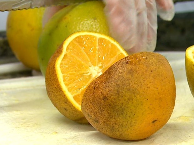  suco de laranja pode ser tomado, sem açúcar e adoçante, durante as dietas, segundo uma pesquisa da Unesp de Araraquarax (Foto: Felipe Lazzarotto/ EPTV)