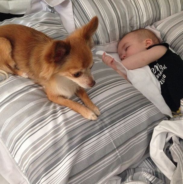 Ana Hickmann posta foto do filho (Foto: Instagram/Reprodução)