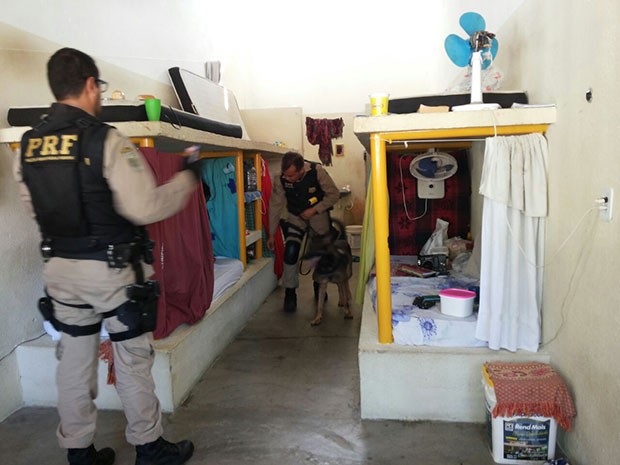 Agentes da Polícia Rodoviária Federal utilizaram até cães farejadores nas revistas feitas dentro do CDP de Apodi, na região Oeste potiguar (Foto: Márcio Morais/G1)