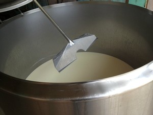 Produção leiteira começa a ser normalizada com chegada do período chuvoso (Foto: Paula Casagrande/G1)