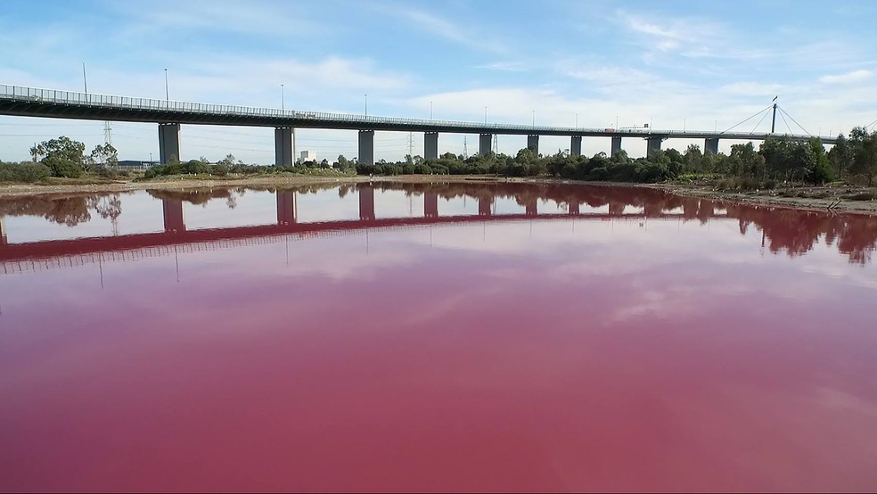 Água de lago australiano ficou rosa por conta de fenômeno natural (Foto: Parksa Victoria/AFP)