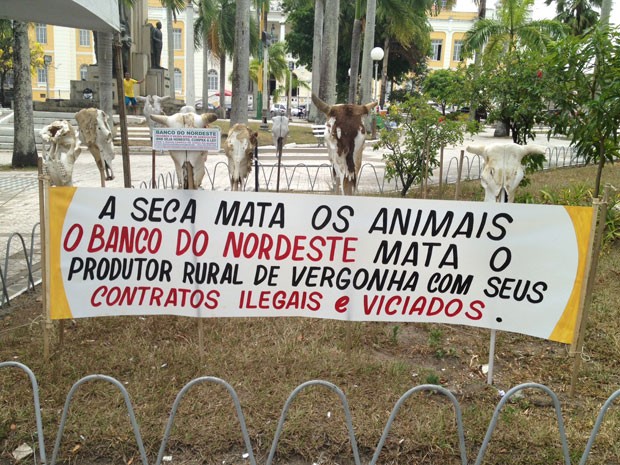 Protesto contra seca em João Pessoa  (Foto: Walter Paparazzo/G1)