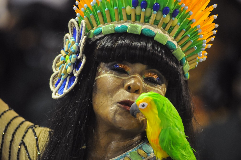 Detalhe da fantasia da porta-bandeira da Beija-Flor (Foto: Alexandre Durão / G1)