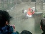 Homem escapa de tigre com ferimentos leves (China Daily/Reuters)