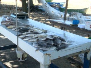 Pescadores vendem peroá em barracas (Foto: Reprodução/TV Gazeta)