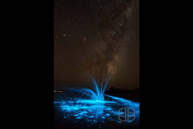 Fotógrafa registrou mar na costa da Austrália emitindo brilho azul intenso (Foto: Jo Malcomson)