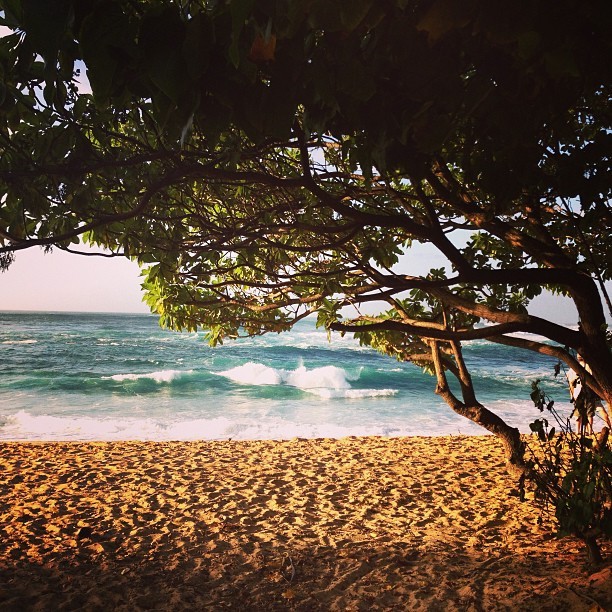 Foto de praia do Havaí postada por Grazi Massafera (Foto: Instagram/ Reprodução)