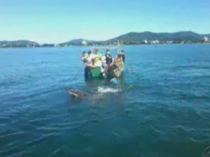 Pescadores conseguiram retirar animal que estava enrolado (Foto: Reprodução/RBS TV)